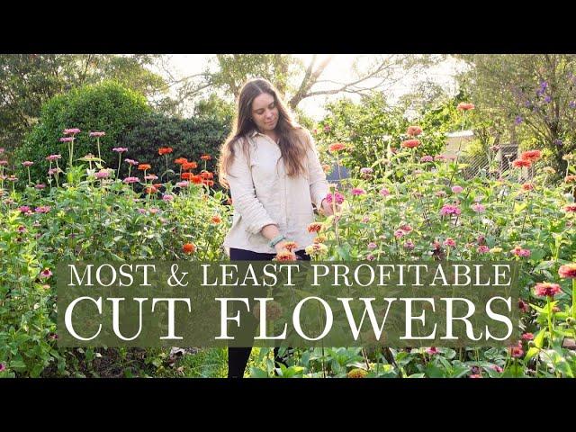 Most & Least Profitable Cut Flowers I Grew in 2023  First Year Backyard Cut Flower Farm Australia