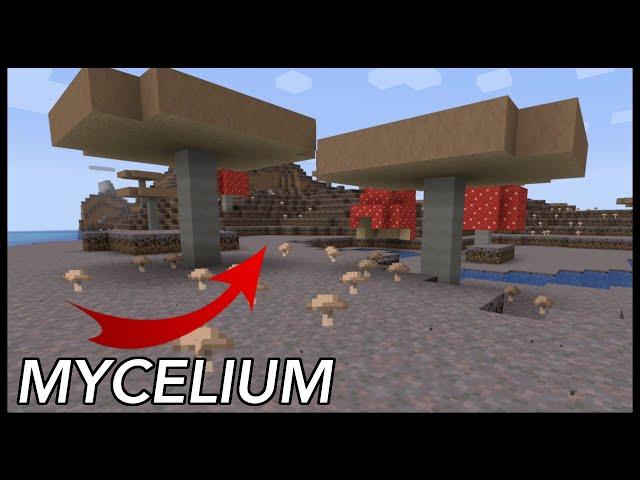 How To Get Mycelium In Minecraft?