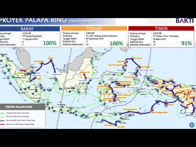 PalapaRing Progress on week 2 2019