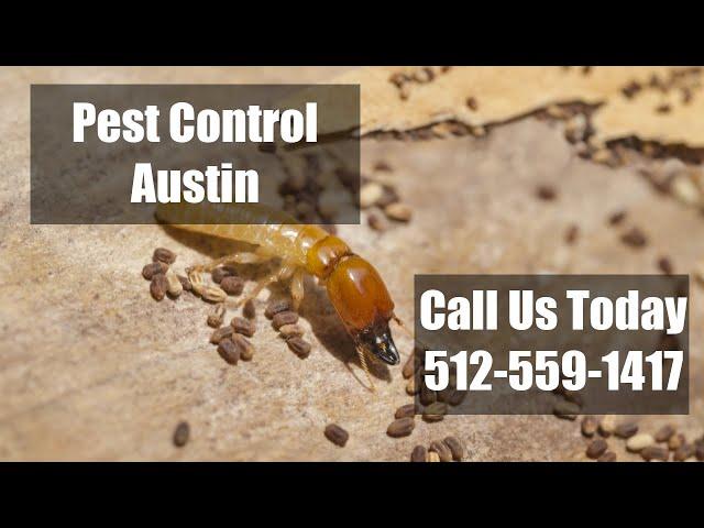 Pest Control  Austin TX  - Emergency Exterminators Residential Termite Control & Bed Bug Control