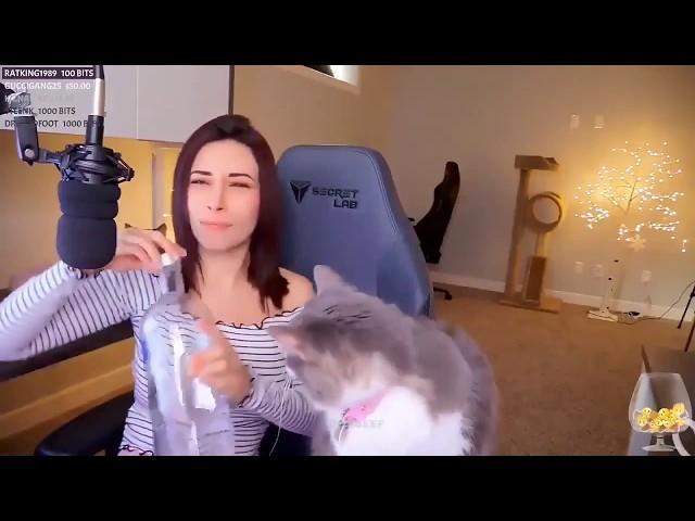 Alinity feeds her cat Vodka on Twitch stream