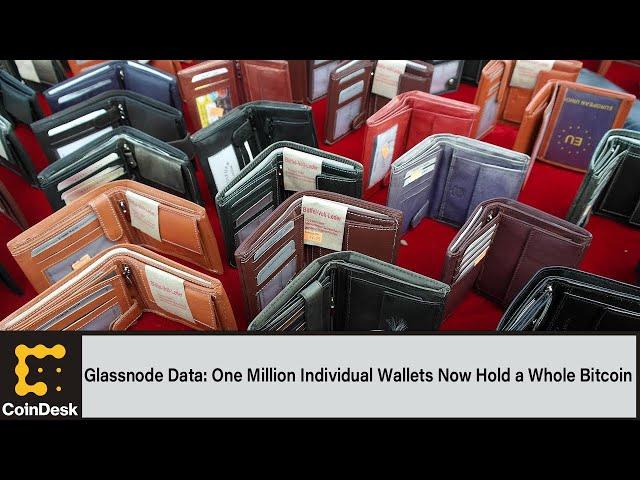 Glassnode Data Reveals One Million Individual Wallets Now Hold a Whole Bitcoin