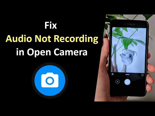 How to Fix Audio is Not Being Recorded in Open Camera App?