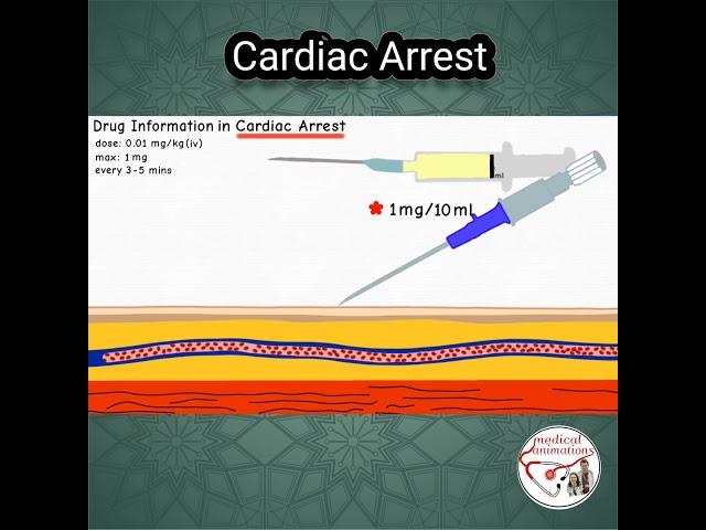 ADRENALINE (Epinephrine) DOSE in CARDIAC ARREST #pediatrics #medicine #epinephrine