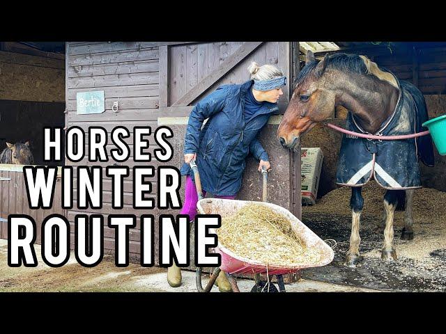 EQUESTRIAN WINTER ROUTINE | A Day in the Life Style Vlog