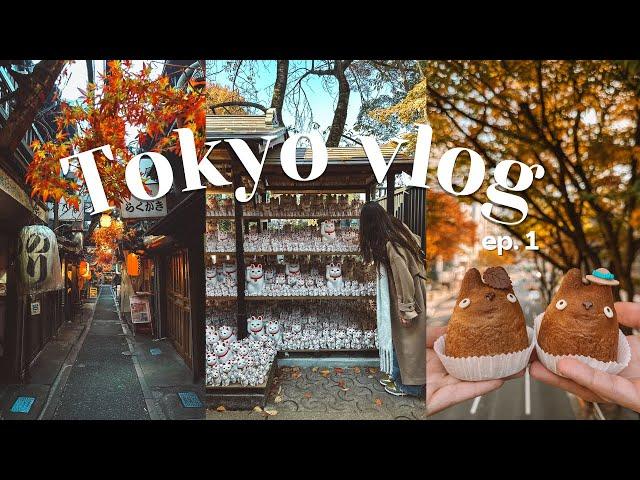 Tokyo vlog | autumn in Japan, exploring, lucky cat temple, Shibuya Sky, best food, hidden gems