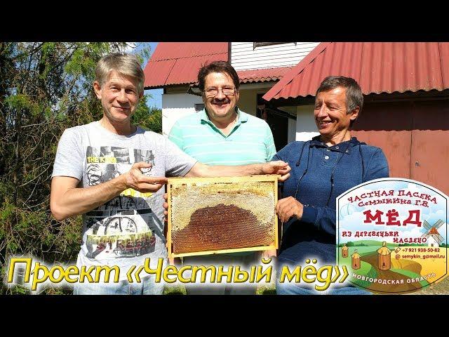 Проект "Честный мёд". Северный мёд. Что с медом в 2017 году.