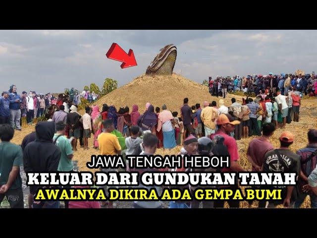 kejadian di jawa tengah yang lagi viral AWALNYA DIKIRA GEMPA BUMI SAAT KELUAR DARI GUNDUKAN TANAH