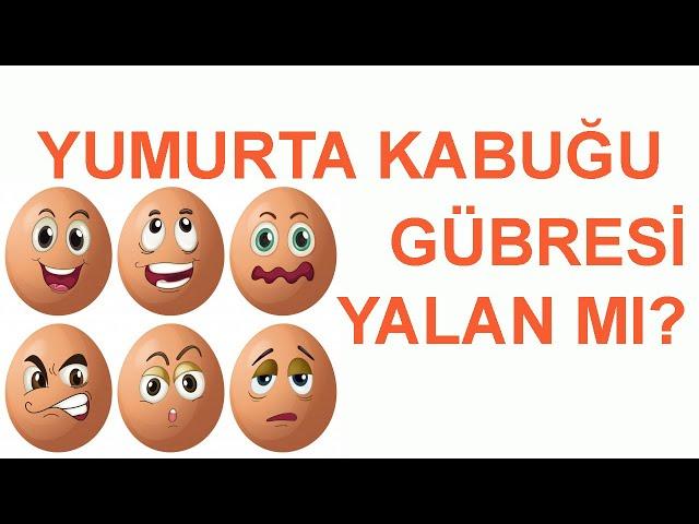 Yumurta Kabuğu Gübresi Nasıl Kullanılır Yapımı