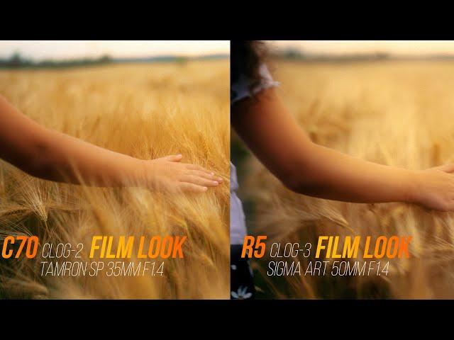 Canon R5 vs Canon C70 // image quality, Dynamic Range, Stabilisation // Film Look color grading.