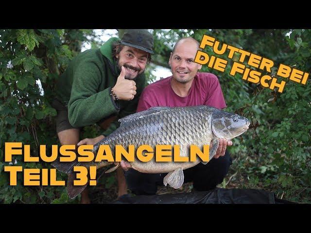 Karpfen im Fluss - Füttern und Fangen - Teil 3