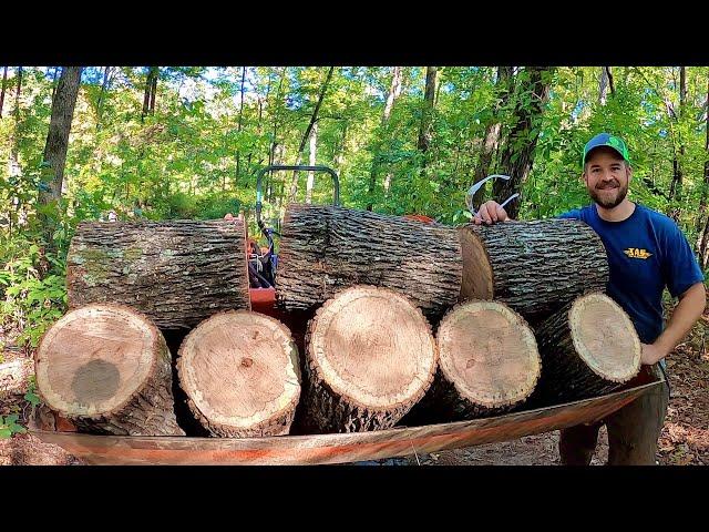 It's Past Time for This: Firewood Cutting and Chimney Scrubbing