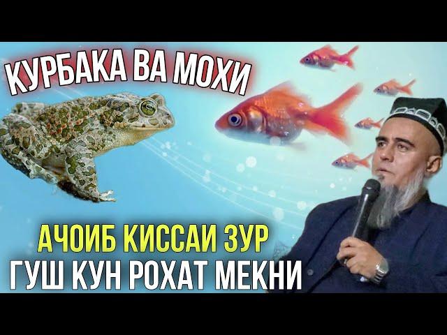 Домулло Абдурахим Курбака ва Мохи Ачоиб Кисса Зур Бин Рохат кун 2021