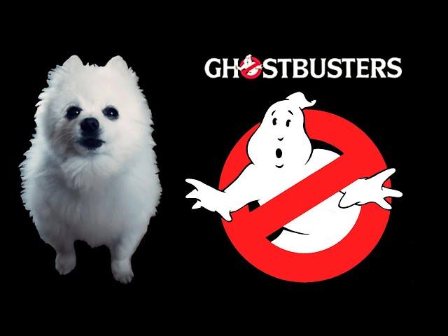 Ghostbusters em cachorrês | ESPECIAL HALLOWEEN