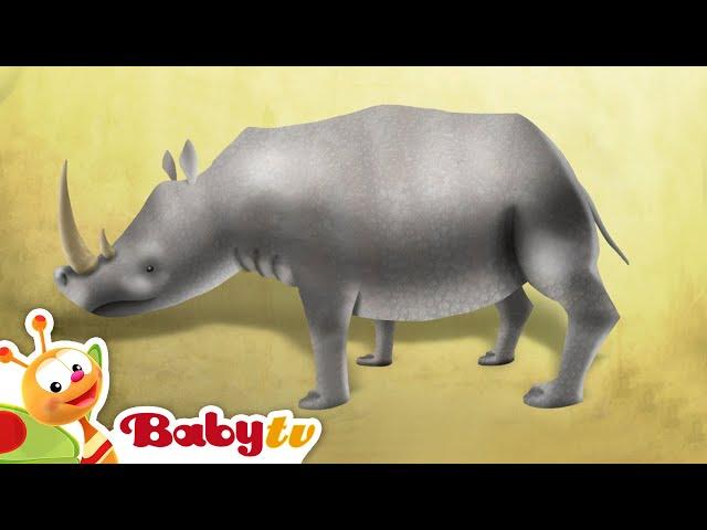 Rhinoceros | Animal Party | BabyTV