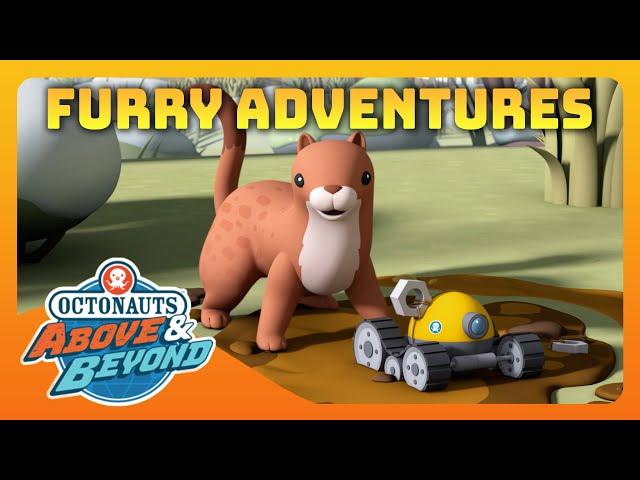 Octonauts: Above & Beyond -  Furry Adventures 🪂 | Compilation | @Octonauts​