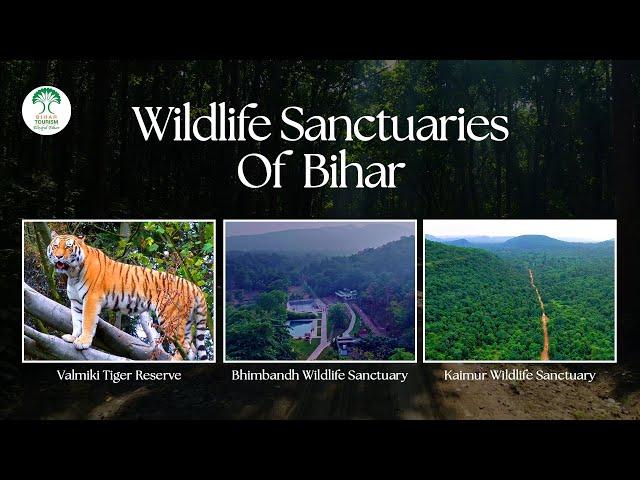 Explore Wildlife Sanctuaries of Bihar | VTR | Kaimur & Bhimbandh Wildlife Sanctuary | Bihar Tourism