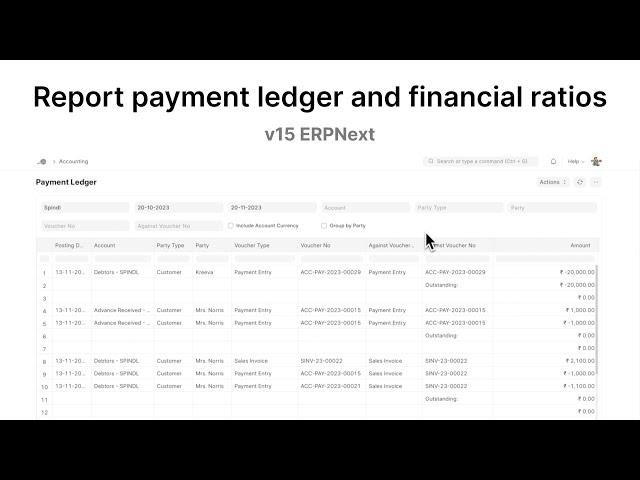 Report payment ledger and financial ratios | ERPNext v15