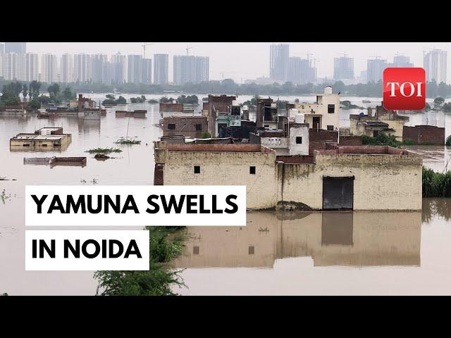 Delhi Rains | Yamuna river flooding forces families in Noida to take shelter on higher ground