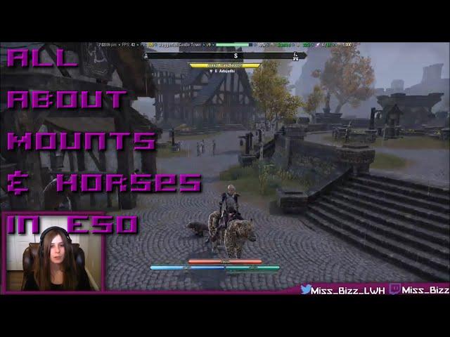 All About Mounts & Horses in ESO [New guide link in description]