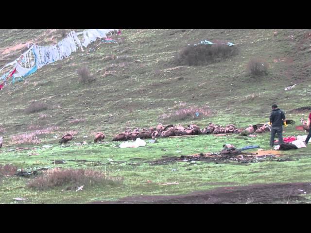 sky burial ceremony in tibet