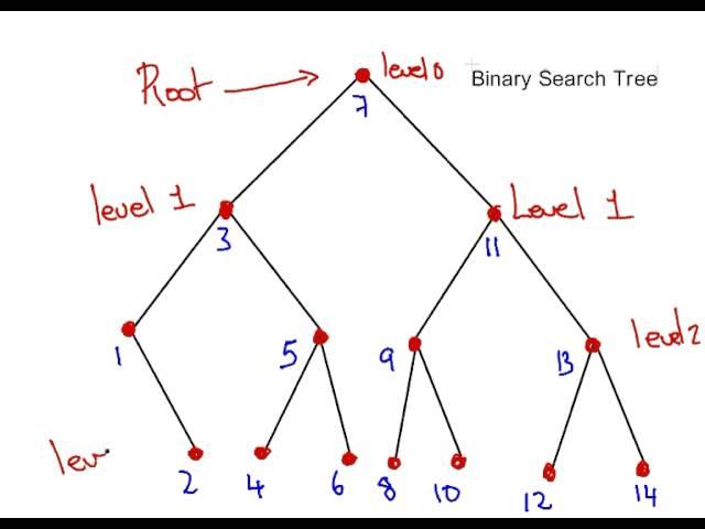 Binary Search Tree  - Terminology (Discrete Maths)