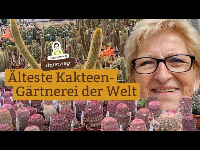 Besuch der ältesten Kakteen-Gärtnerei der Welt | Städte-Trip durch Thüringen: Tag 2, Teil 1 von 2