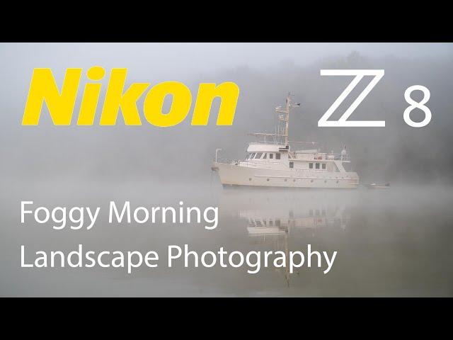 Nikon Z8 Foggy Morning Landscape Photography Z 24-70 f/4 S & 180-600 Lenses