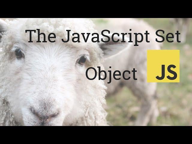 Learn the Incredibly Helpful but Often Overlooked JavaScript Set Object