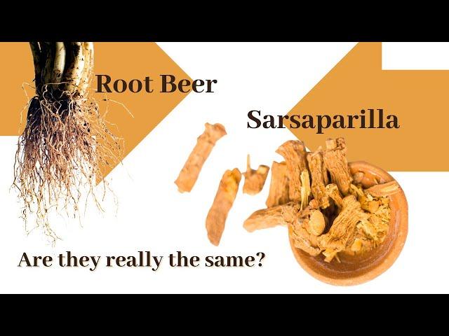 A brief thirst quenching history of Root beer and Sarsaparilla