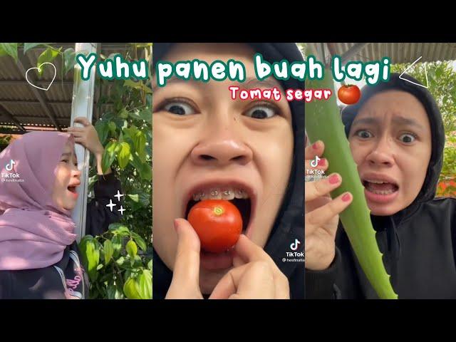 TIKTOK PINAT PANEN BUAH🪴