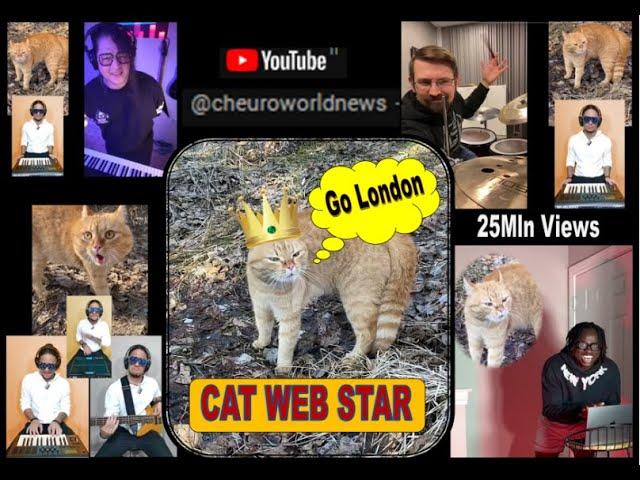 GO LONDON CAT SONG