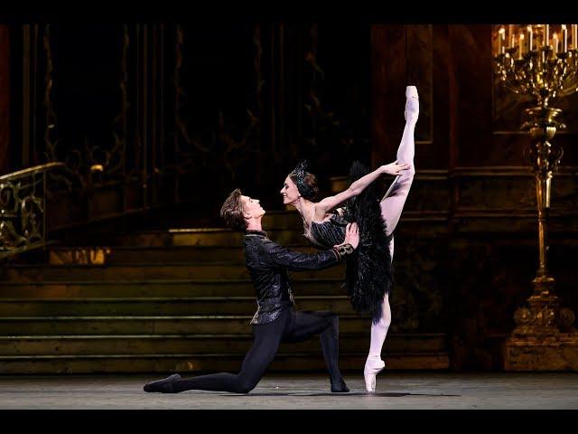 Swan Lake - Coda from the Black Swan pas de deux in Act III (The Royal Ballet)