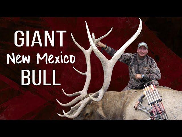 September Rut Hunt! Bow hunting elk with Guy Eastman (Eastmans' Hunting TV)