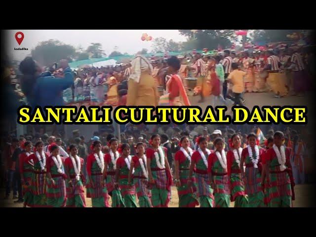 santali cultural dance video 2024 kadadiha mayurbhaj //BIRBURU ATUDISOM OFFICIAL//