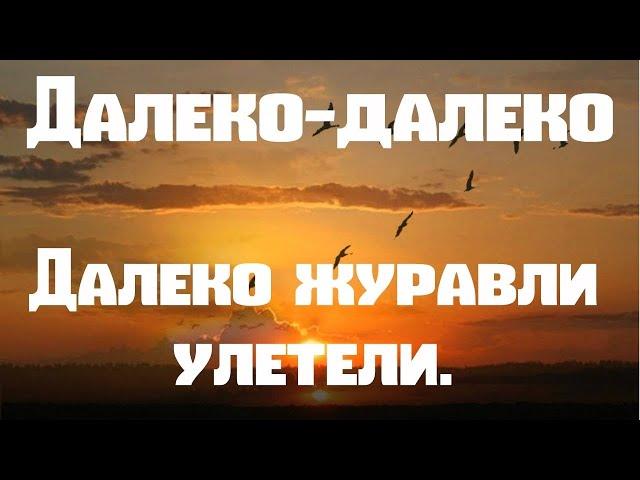 Далеко Журавли Улетели