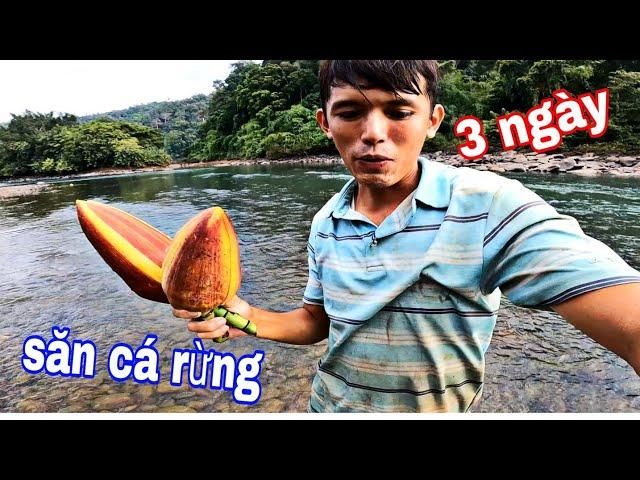 3 Ngày 3 Đêm Săn Cá Lăng Rừng NHIỆT ĐỚI Sang Vlog ( phần 1 )