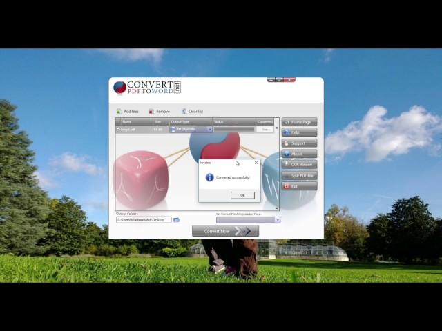 How to use Convert PDF to Word Desktop Software to convert PDF to Docx, Doc and to Text?