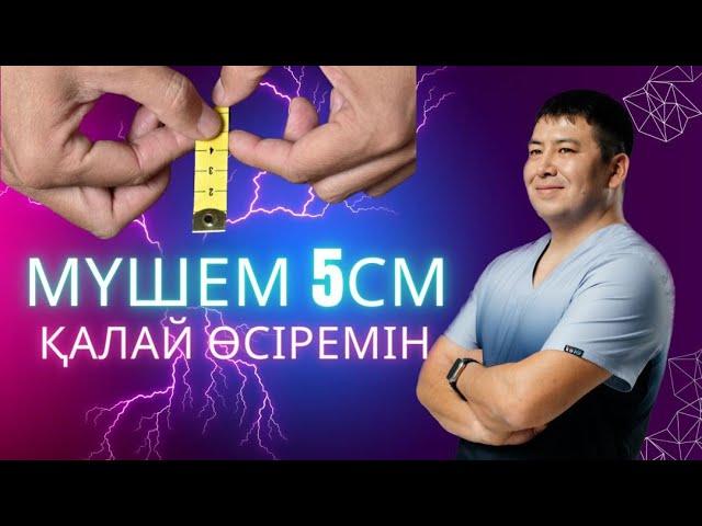 Мүшем кішкентай ((( , 5 сантиметр қысқама?Мүшенің қызметі