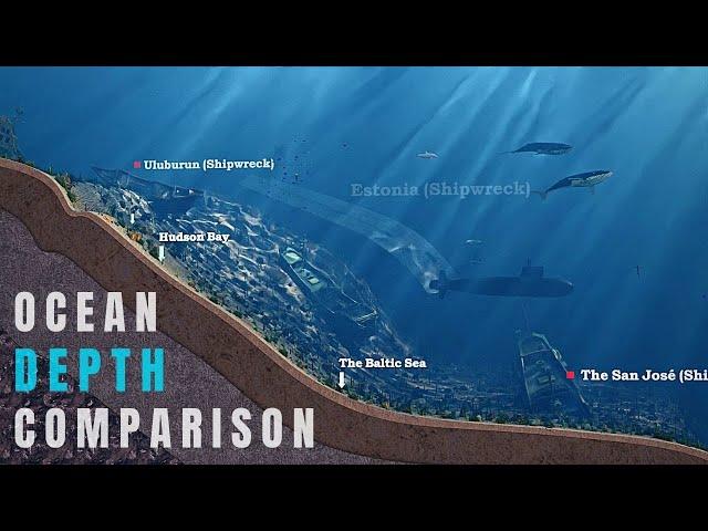 Ocean Depth Comparison | 3D Animation