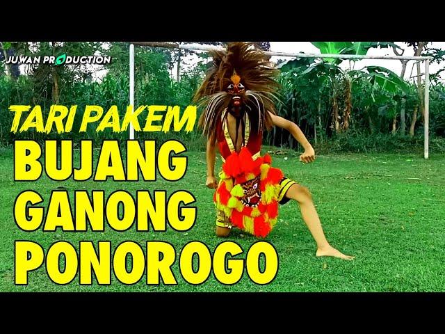 CEK SOUND..! TARI BUJANG GANONG PAKEM VERSI MAS DIO GANONGAN REYOG PONOROGO