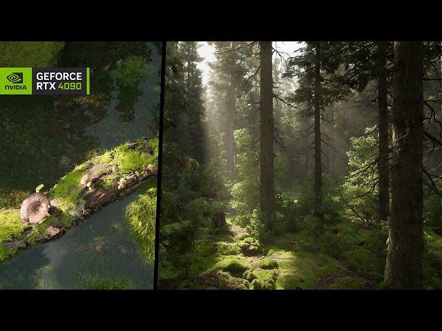 Insanely Realistic Wetland Forest Biome - Unreal Engine 5 - RTX 4090