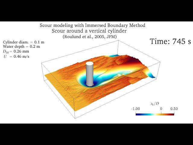 Simulation of scour around a vertical cylinder with an immersed boundary method.