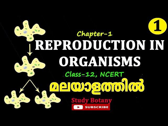 REPRODUCTION IN ORGANISM PLUS TWO BIOLOGY CHAPTER-1 MALAYALATHIL STUDY BOTANY PART-1 SCERT, NCERT SB