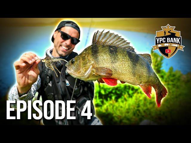 GIANT PERCH in chord! | YPC BANK 2024 Episode 4