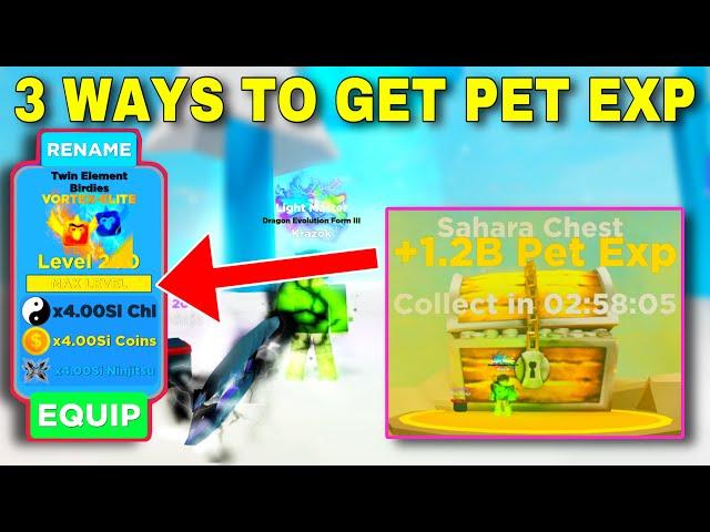 3 Ways To Get Pet Exp in Ninja Legends *2023* ~ Roblox