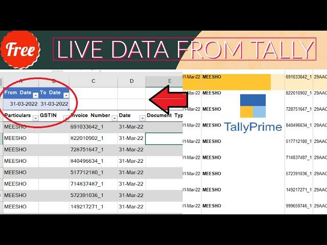 Tally to Excel Live Import direct from Excel | Excel Power Query and Tally Connection @LearnWell