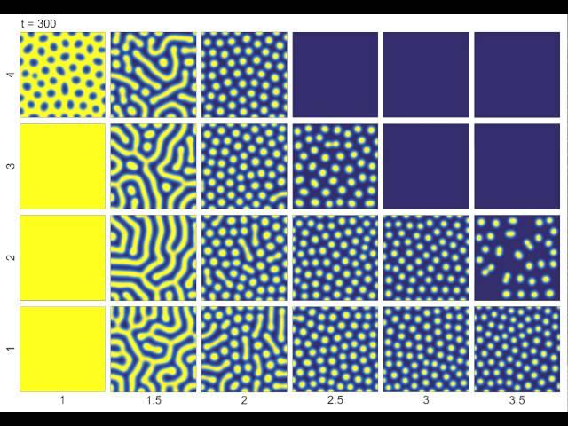 Turing patterns in a reaction-diffusion model