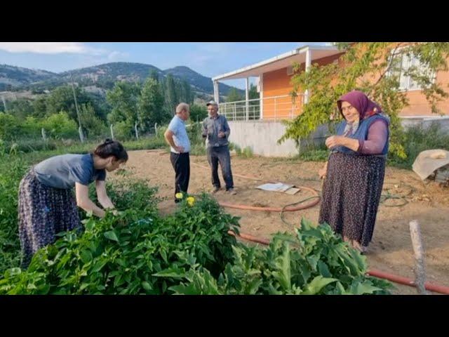 POLEN GELDİ ÖZLEM KIZIM BAHÇEDE HASAT ETTİ | Hamiş Abla Bahçemi Dolaşıp Neler Söyledi? | Çay Keyfi