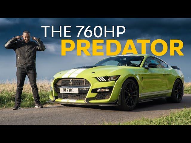 Ford Mustang SHELBY GT500 Review: The MADDEST Muscle Car! | 4K